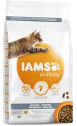 Sucha karma dla kotów - IAMS - Indoor karma sucha dla dorosłych kotów kurczakiem - miniaturka - grafika 1