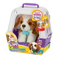 Zabawki interaktywne dla dzieci - Little Live Pets - Piesek z transporterkiem - Cobi - miniaturka - grafika 1