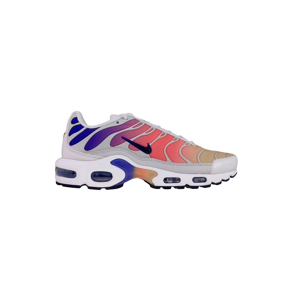Buty Nike Air Max Plus Tn Platinum DZ3670003