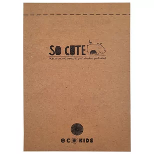 Notatnik Roller Flexi Eco Kids 100 Kartek A5 W Kratkę - Notesy i bloczki - miniaturka - grafika 1