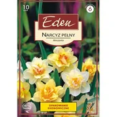 Nasiona i cebule - Narcyz pełny mix 10 sztuk Eden - miniaturka - grafika 1