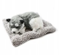 Maskotki i pluszaki - PIES ŚPIĄCY NA PODUSZCE DEKORACJA FIGURKA REALISTYCZNY PIESEK RÓŻNE WZORY - miniaturka - grafika 1