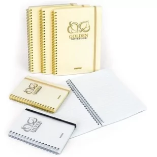 MINTRA Kołonotatnik MINTRA Golden&Silver A6 80 = - Notesy i bloczki - miniaturka - grafika 1