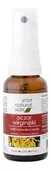 Toniki i hydrolaty do twarzy - Your Natural Side YOUR NATURAL SIDE OCZAR WIRGIJSKI SPRAY 30ML - miniaturka - grafika 1