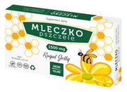 Układ nerwowy - Ginseng Poland Mleczko pszczele Royal Jelly 1500 mg 10 fiolek x 10 ml 3711041 - miniaturka - grafika 1