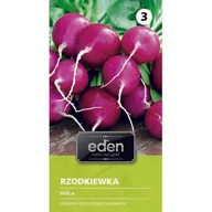 Nasiona i cebule - Rzodkiewka fioletowa Viola 5 g Eden - miniaturka - grafika 1