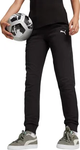 Spodnie damskie Puma Team Goal Casuals czarne 658604 03 L - Spodnie sportowe damskie - miniaturka - grafika 1
