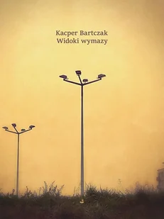 Biuro Literackie Widoki wymazy Kacper Bartczak - Poezja - miniaturka - grafika 2