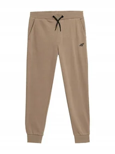 SPODNIE DRESY CHŁOPIĘCE 4F 4FJAW23TTROM411 - Spodnie męskie - miniaturka - grafika 1