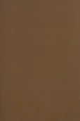 Dekoratorstwo - Papier brystol kolorowy 250g brązowy A3 10ark - miniaturka - grafika 1