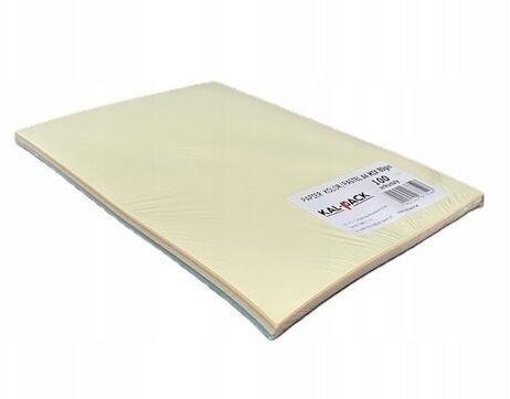 SCHEMAT Papier ksero A4/100K pastel EDUKAMP 5902241673546