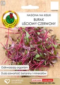 Nasiona i cebule - Burak Czerwony Liść Nasiona Na Kiełki Bez Gmo 10G - miniaturka - grafika 1