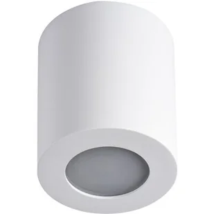 Kanlux Sani 29241 reflektor 1x10W PAR16 biały - Lampy sufitowe - miniaturka - grafika 1