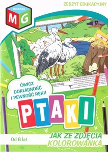 Jak ze zdjęcia kolorowanka Ptaki - Książki edukacyjne - miniaturka - grafika 1