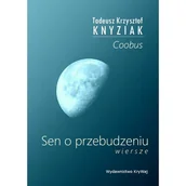 Poezja - Sen o przebudzeniu - miniaturka - grafika 1