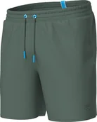 Spodnie sportowe męskie - Arena Spodenki szorty plażowe sportowe kąpielowe Arena Premium Solid Boxer R.M - miniaturka - grafika 1