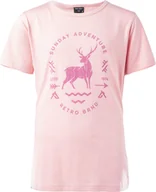 Koszulki męskie - Dziecięca koszulka z krótkim rękawem Hi-tec Nina Jrg silver pink rozmiar 146 - miniaturka - grafika 1