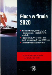 Płace w firmie 2020 - Biznes - miniaturka - grafika 1