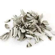 Kadzidła i dodatki - Biała Szałwia (Susz 100G) Kadzidło Oczyszczające (White Sage / Salvia Apiana) - miniaturka - grafika 1