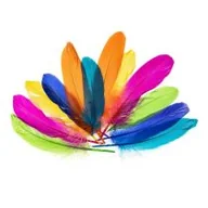 Zabawki kreatywne - Brewis Piórka gęsie nenowy 15-20cm - miniaturka - grafika 1