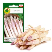 Nasiona i cebule - SZPARAG ARGENTEUIL WIELOLETNI SMACZNY NASIONA BEZ GMO - miniaturka - grafika 1