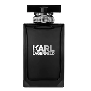 Karl Lagerfeld Pour Homme edt 100ml - Wody i perfumy męskie - miniaturka - grafika 1