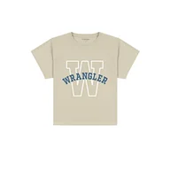 Koszulki męskie - Wrangler Koszulka męska typu t-shirt, Turtledove, rozmiar L, Turtledove, L - miniaturka - grafika 1