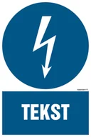 Systemy ekspozycyjne i znaki informacyjne - ZNAK NA ZAMÓWIENIE WZÓR D-002, PS - PŁYTA PCV 1MM FOTOLUMINESCENCYJNA; (250X375MM) - miniaturka - grafika 1