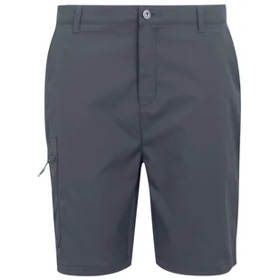 Męskie szorty Regatta Dalry Short Rozmiar: L-XL / Kolor: szary - Spodenki męskie - miniaturka - grafika 1