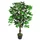 Leaf Sztuczne drzewko fikusowe, 110 cm