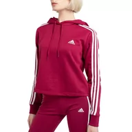 Bluzy sportowe damskie - Bluza adidas Essentials 3-Stripes Cropped Hoodie GM5574 - bordowa - Adidas - miniaturka - grafika 1