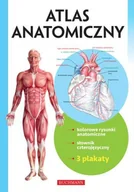 Książki medyczne - Atlas anatomiczny - miniaturka - grafika 1