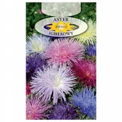 Nasiona i cebule - ASTER IGIEŁKOWY CHIŃSKI MIX NASIONA - miniaturka - grafika 1