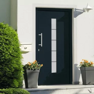 shumee Drzwi zewnętrzne aluminium i PVC antracytowe 100x210 cm - Inne akcesoria dekarskie - miniaturka - grafika 1