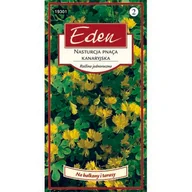 Nasiona i cebule - Nasturcja pnąca kanaryjska 2 g Eden - miniaturka - grafika 1