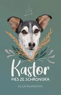 Baśnie, bajki, legendy - NOWA BAŚŃ Kastor. Pies ze schroniska - Alicja Kalinowska - miniaturka - grafika 1