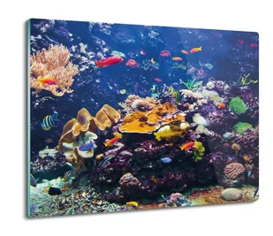 druk deska splashback Fauna rafa koralowa 60x52, ArtprintCave - Deski do krojenia - miniaturka - grafika 1