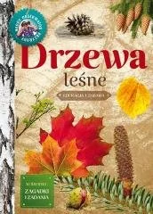Młody obserwator przyrody. Drzewa leśne w.2022 - Książki edukacyjne - miniaturka - grafika 2