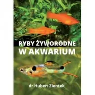 Rośliny i zwierzęta - Ryby żyworodne w akwarium Nowa - miniaturka - grafika 1