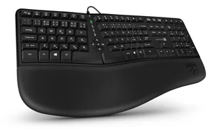 Connect IT CKB-2800-CS USB QWERTY Czeski, Słowacki Czarny CKB-2800-CS - Klawiatury - miniaturka - grafika 1