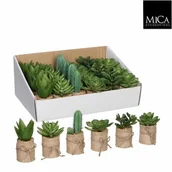 Sztuczne kwiaty - Zestaw 24 sukulentów mix 6 wzorów 12 x 5 cm - miniaturka - grafika 1