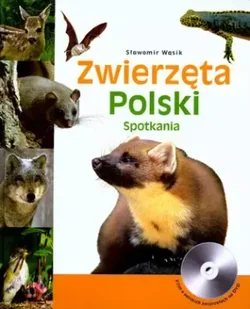 Zwierzęta polski spotkania + CD - Andrzej Kruszewicz - Albumy - przyroda - miniaturka - grafika 1