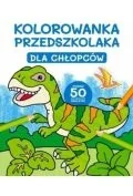 Baśnie, bajki, legendy - kolorowanka przedszkolaka. dla chłopców - miniaturka - grafika 1