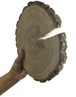 Dekoratorstwo - Plaster Dębu 15-20 Cm Gr. 2 Cm Szlifowany Z Korą Drewno Dębowe Naturalny Surowy / Wamar-Sosenka - miniaturka - grafika 1