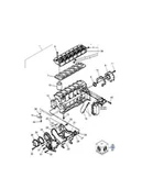 Części i akcesoria do maszyn rolniczych - CNH ZESTAW USZCZELEK DO SILNIKA DÓŁ 87790153 - miniaturka - grafika 1