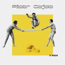 Stowarzyszenie Pisarzy Polskich O włos - Piotr Gajda - Poezja - miniaturka - grafika 1