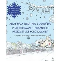 Zimowa kraina czarów - Rozwój osobisty - miniaturka - grafika 1
