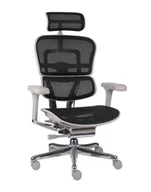 Fotele i krzesła biurowe - Fotel biurowy Ergohuman 2 Elite GS Black, czarny, ergonomiczny, siatkowy - miniaturka - grafika 1