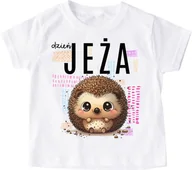 Koszulki dla dziewczynek - Koszulka z jeżem na dzień jeża - miniaturka - grafika 1