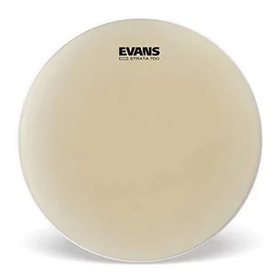 Evans evans cs14s 35,5 cm (14 cale) Strata Concert Snare sierść 0,178 MM syntetyczny CS14S - Akcesoria do perkusji - miniaturka - grafika 1